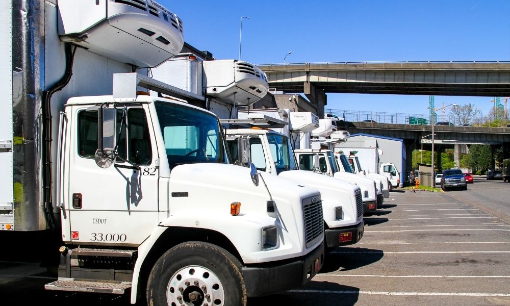 Freezer Vans For Sale