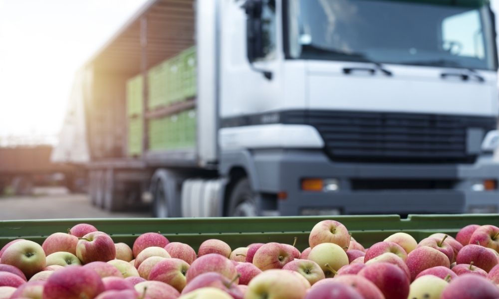 Freezer Vans For Fruits
