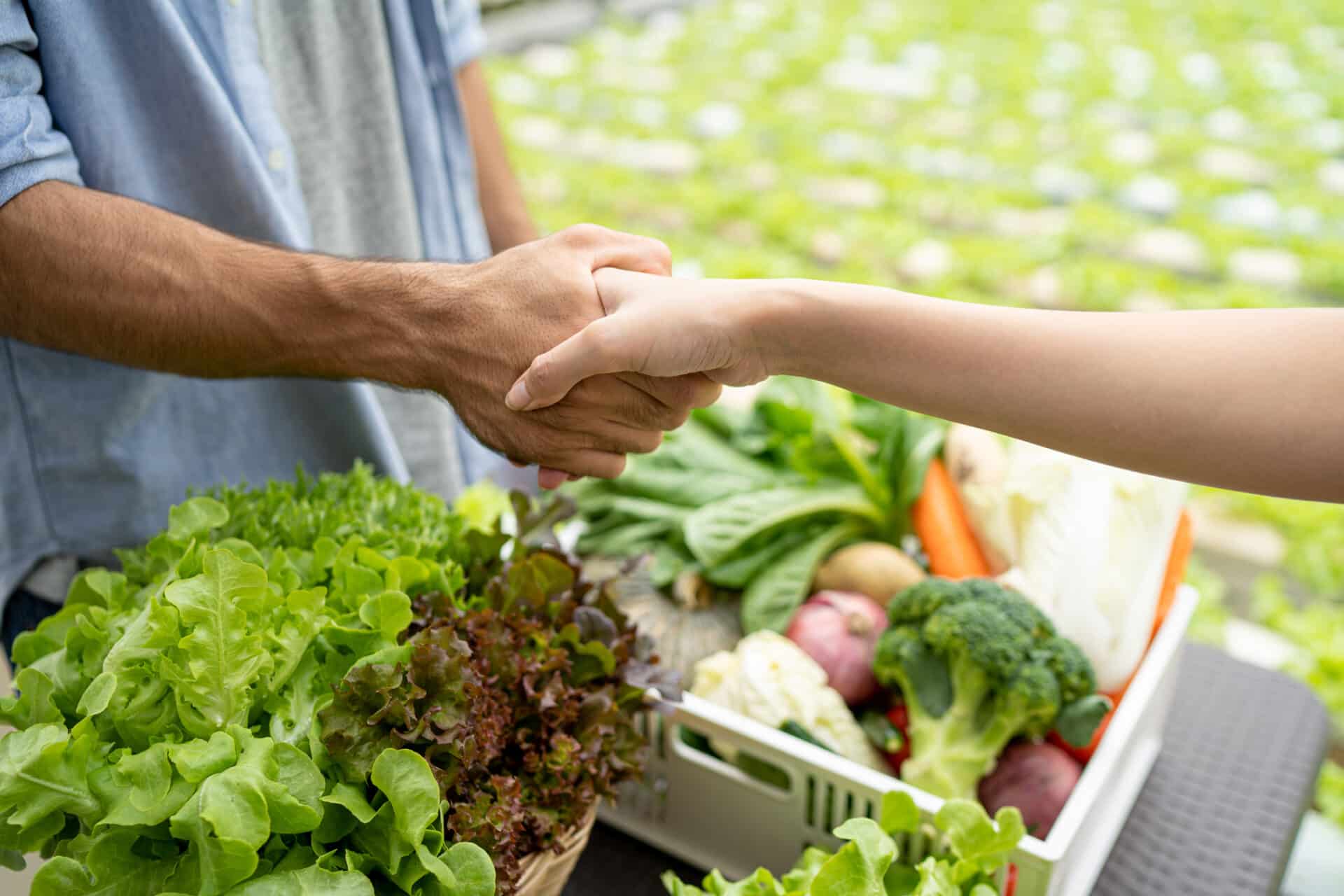 Freezer Truck For Vegetables Delivery